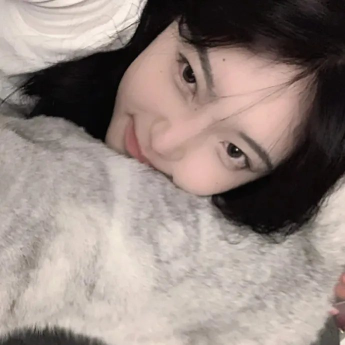 黑之契约者2:流星的双子